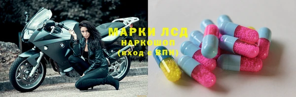 стаф Алзамай