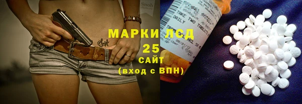 стаф Алзамай