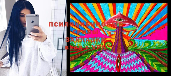 стаф Алзамай