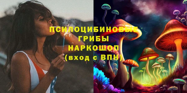 МДПВ Алексин
