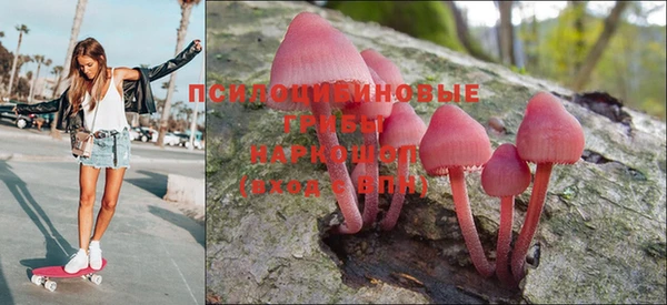 стаф Алзамай