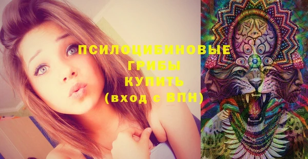 МДПВ Алексин