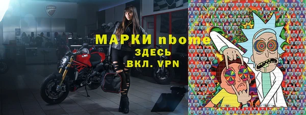стаф Алзамай